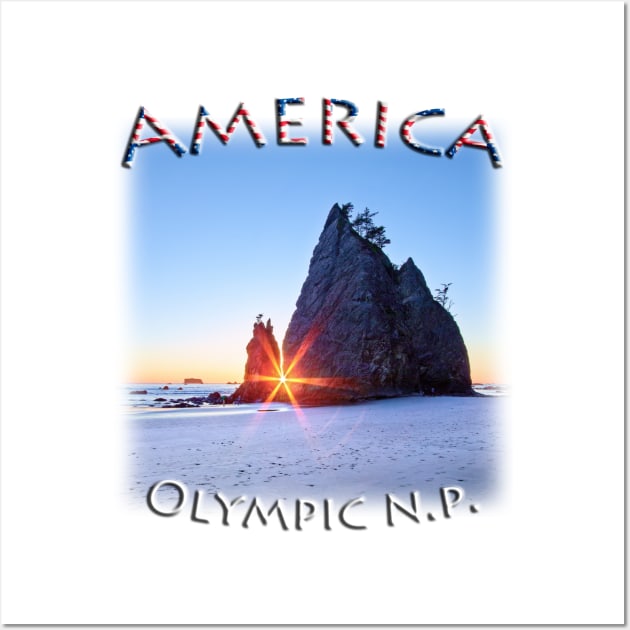 America - Washington - Olympic National Park Wall Art by TouristMerch